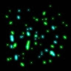 Meet your Posher, J0zzt03